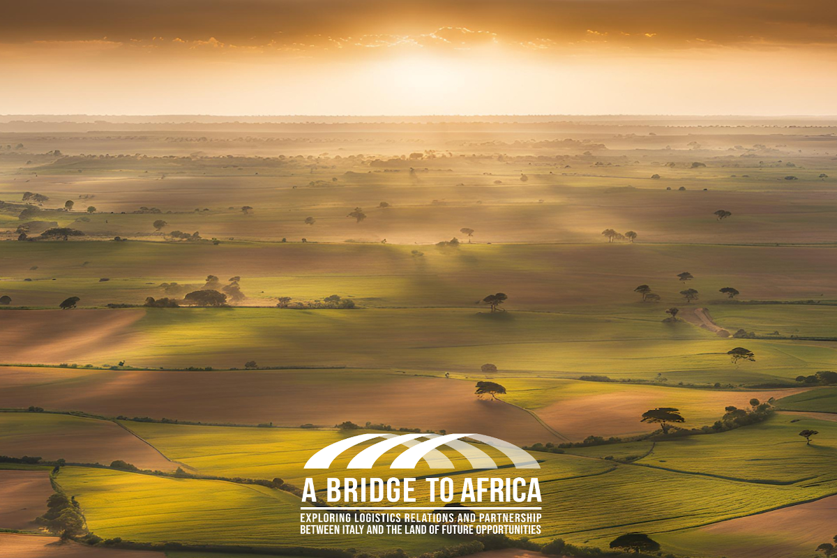 A Bridge To Africa, un focus sulla rivoluzione economica africana